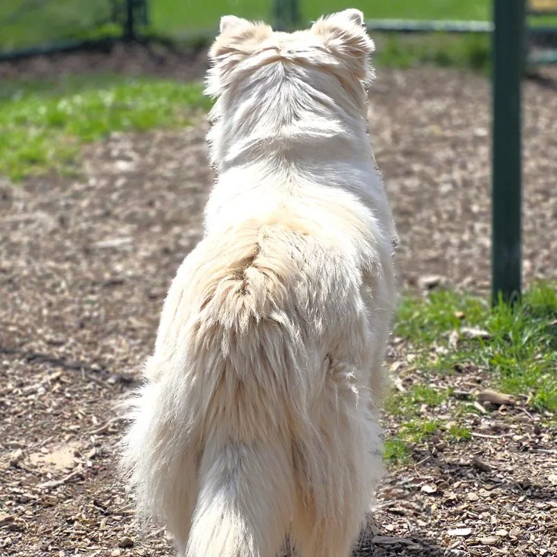 Klondike thumbnail 2