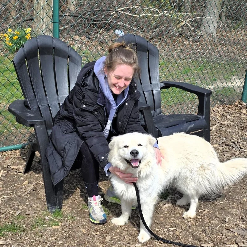 Klondike thumbnail 4