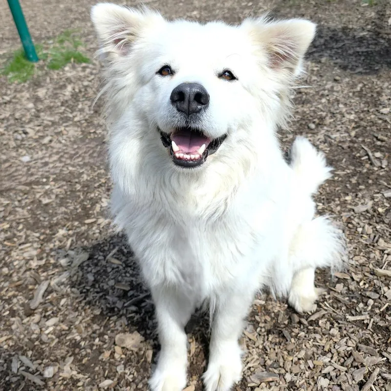 Klondike thumbnail 5