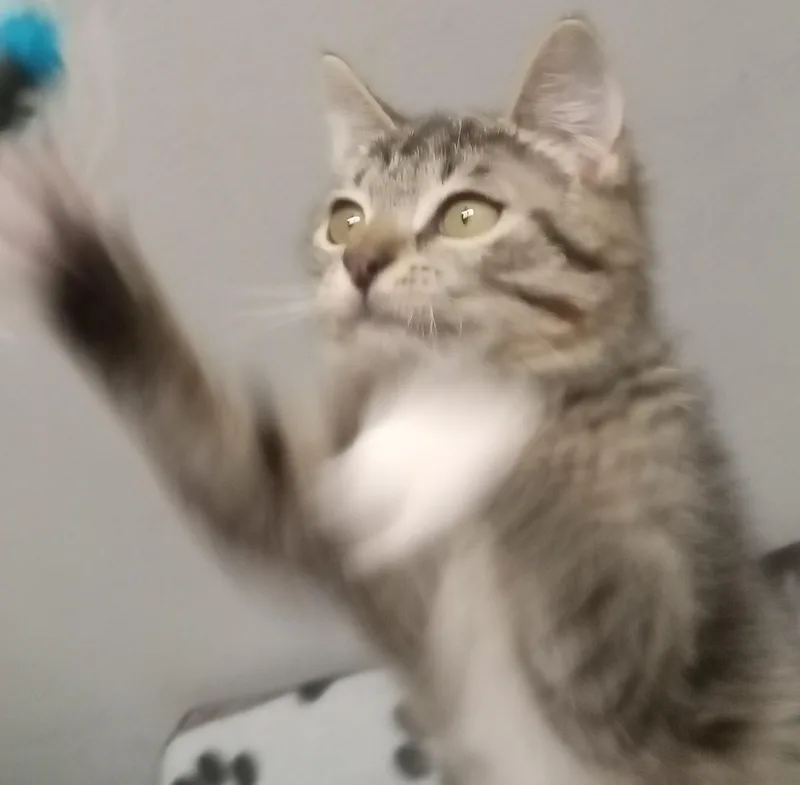 Little White Shoes thumbnail 3