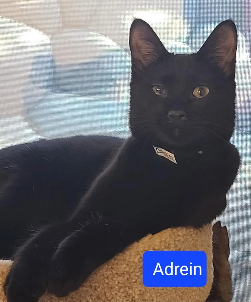 Adrien thumbnail 4
