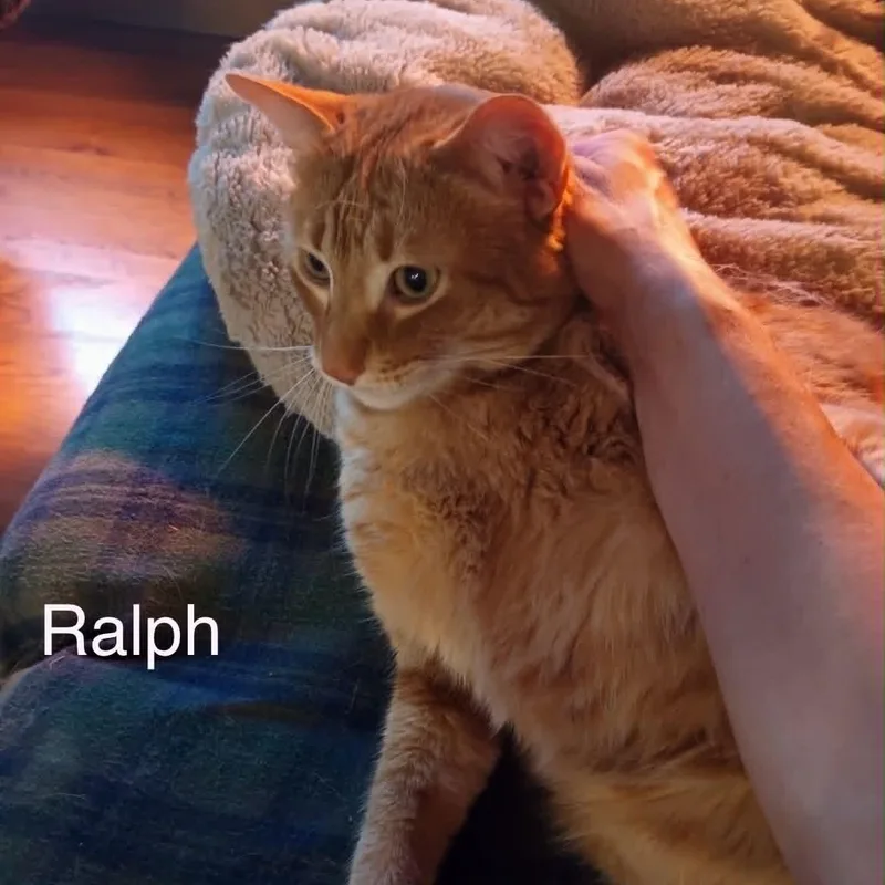 Ralph