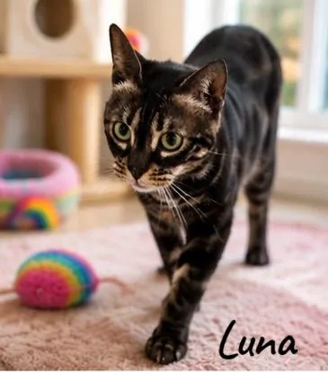 Luna thumbnail 3
