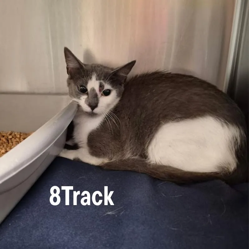 Track