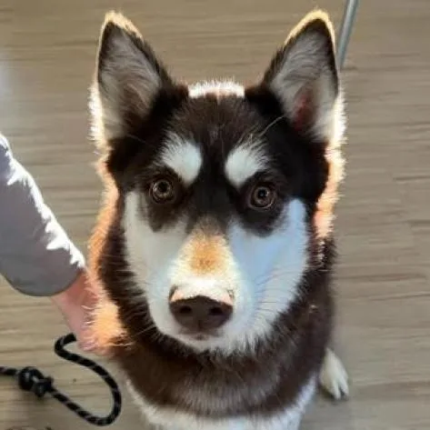 Alaska thumbnail 4