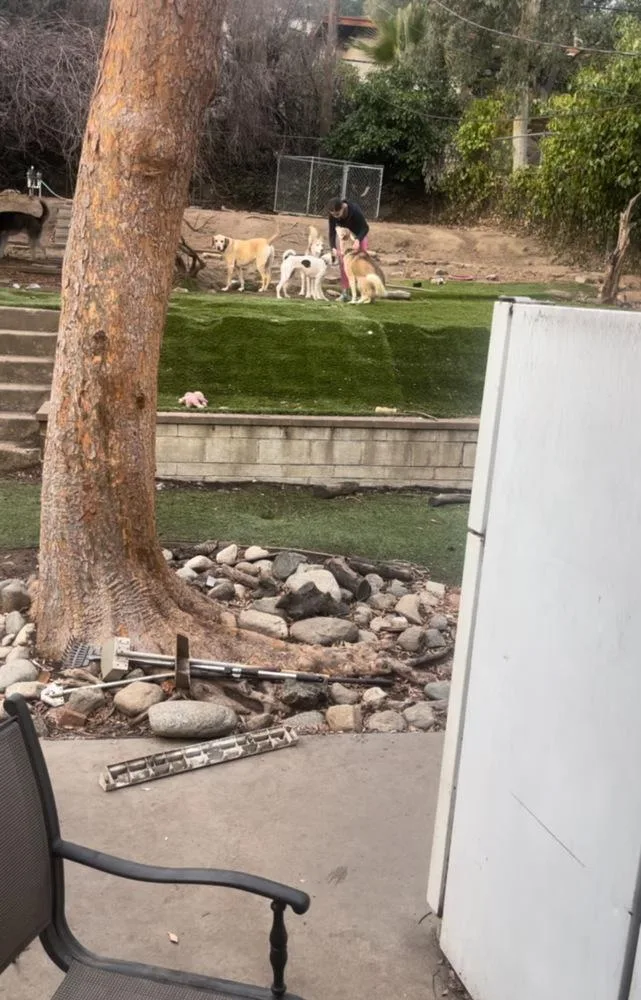 Marshmellow thumbnail 6