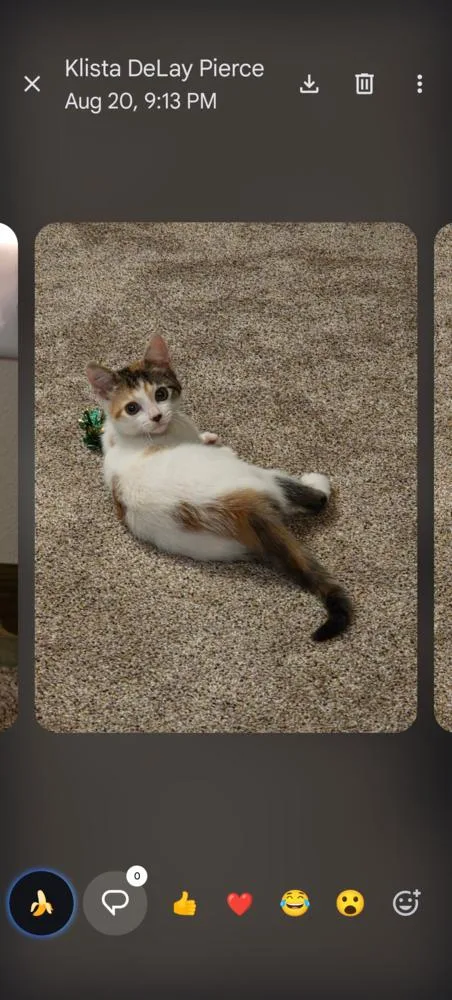 Minnie thumbnail 2