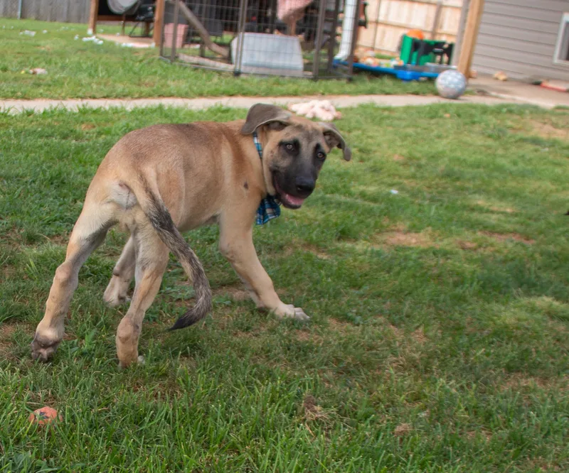 Colby thumbnail 2