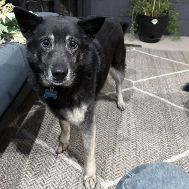 Lana And Luna thumbnail 2