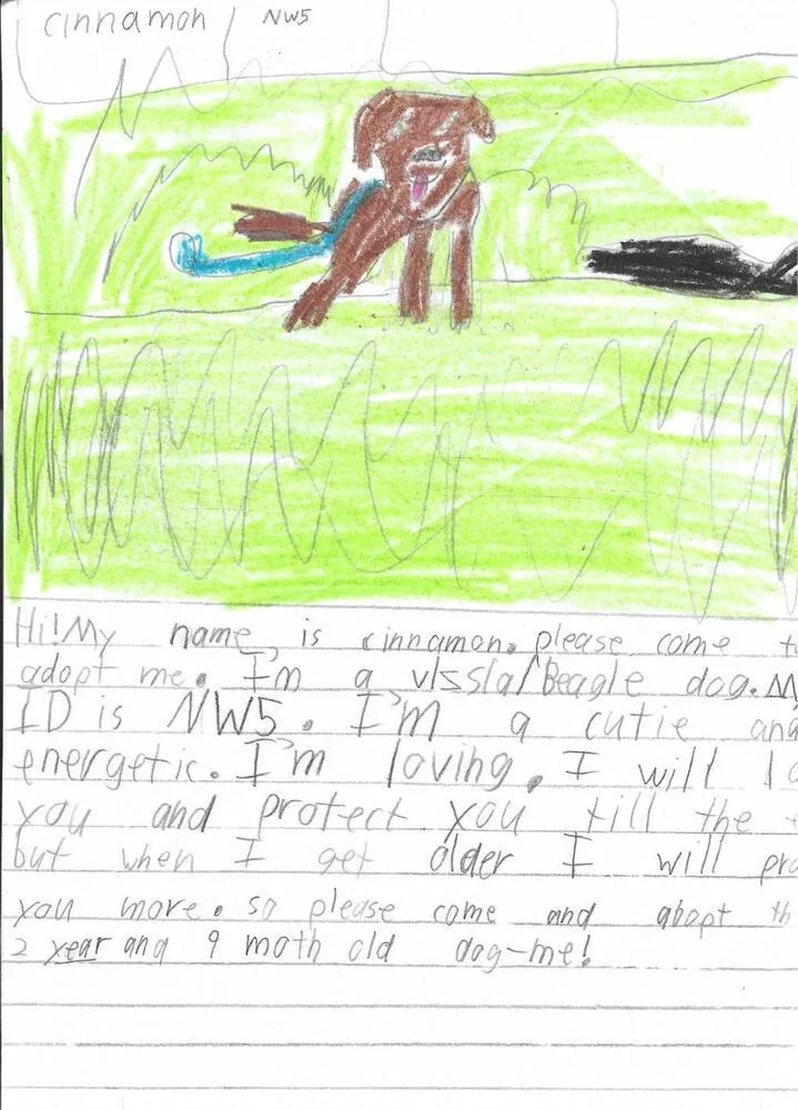 Cinnamon thumbnail 3