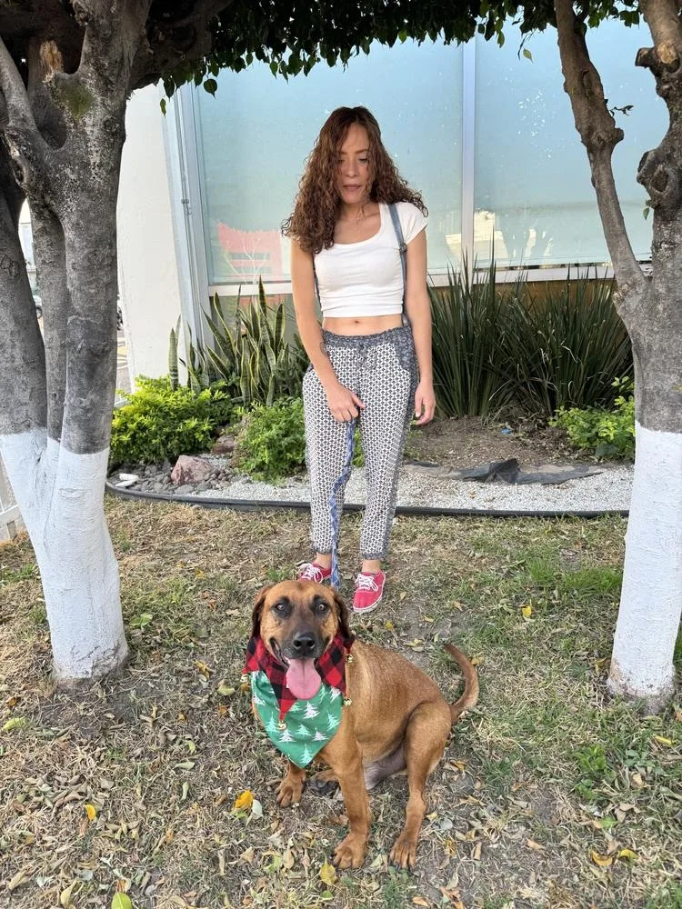 Cinnamon thumbnail 6