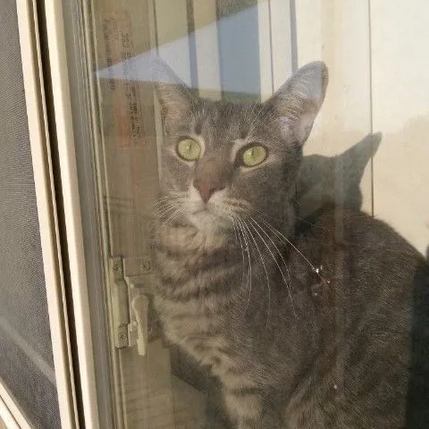 Theon Rb thumbnail 2