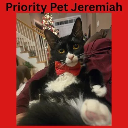 Jeremiah  `a Priority thumbnail 2