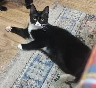 Jeremiah  `a Priority thumbnail 3