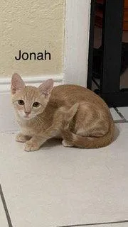 Jonah thumbnail 2