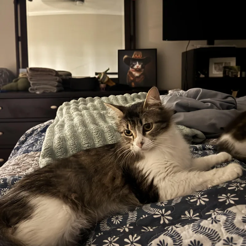 April  Rf Petsmart thumbnail 5
