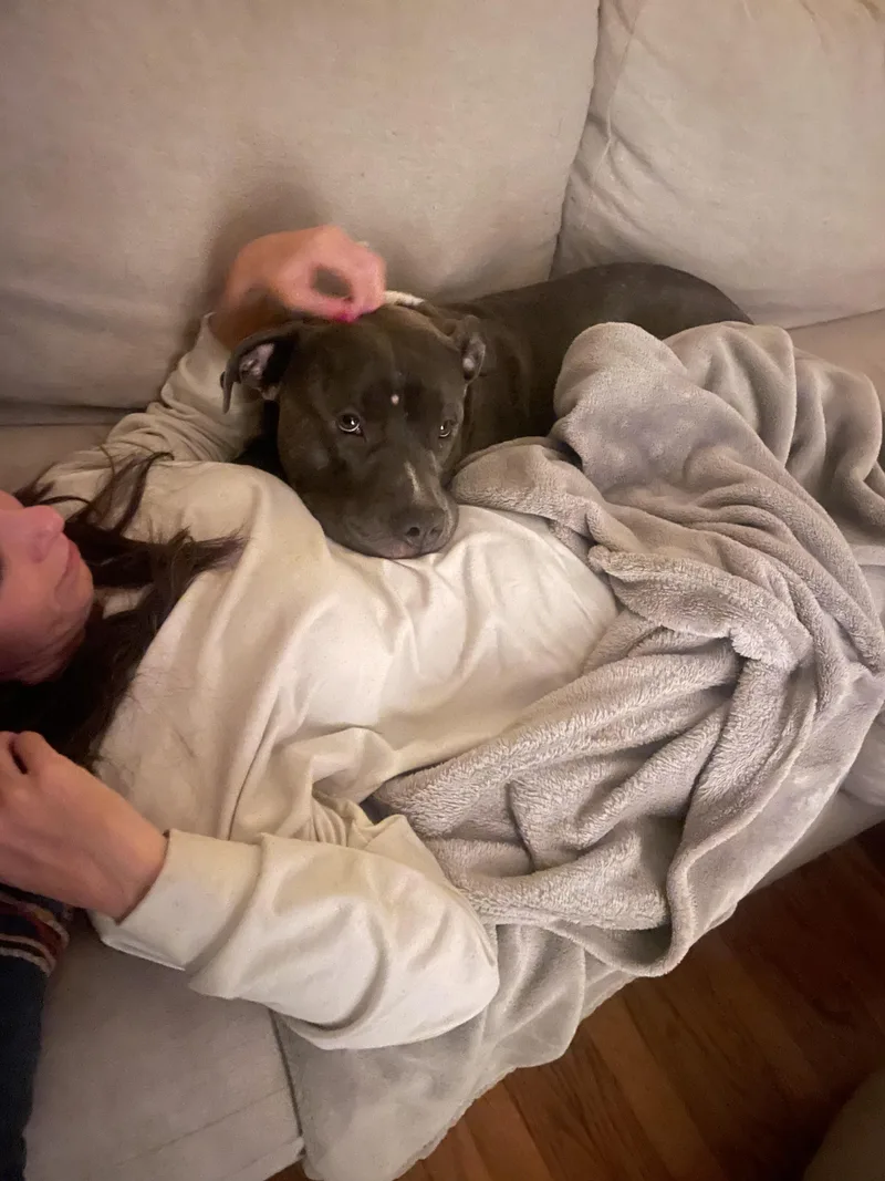 Jersey Mike thumbnail 2