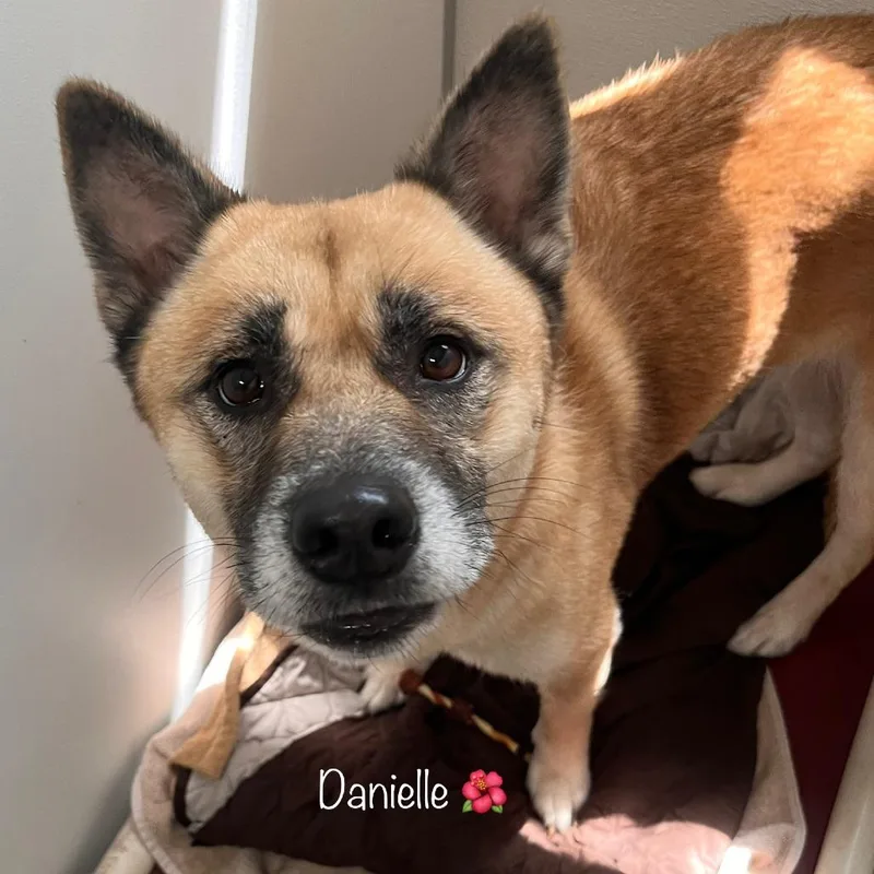 Danielle thumbnail 3