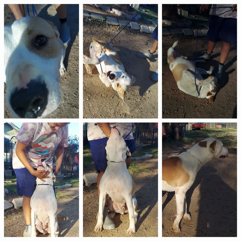 Maverick thumbnail 3