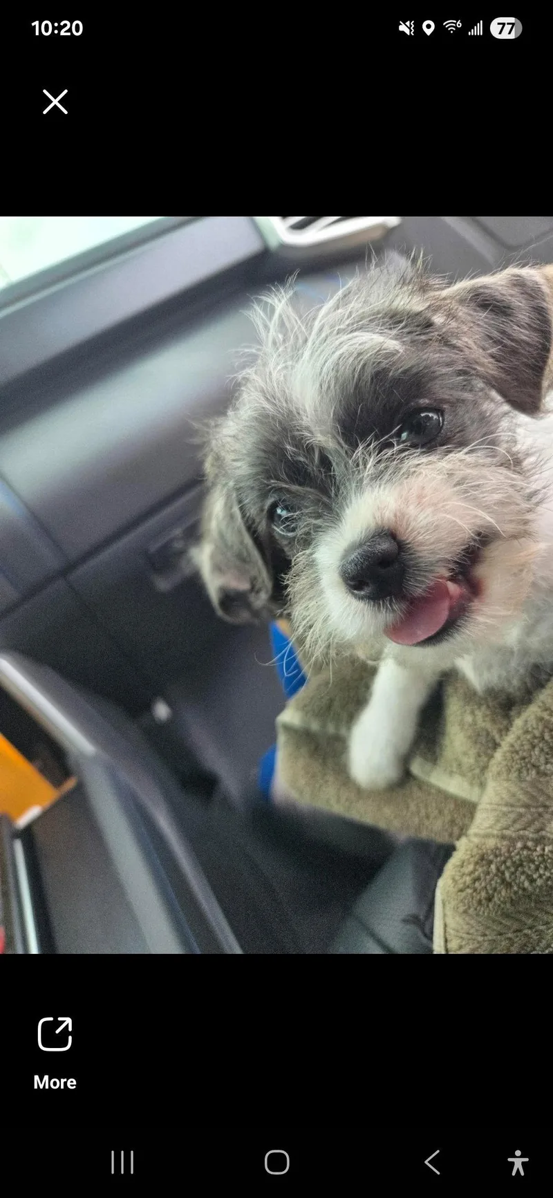 Buzz & Woody thumbnail 3