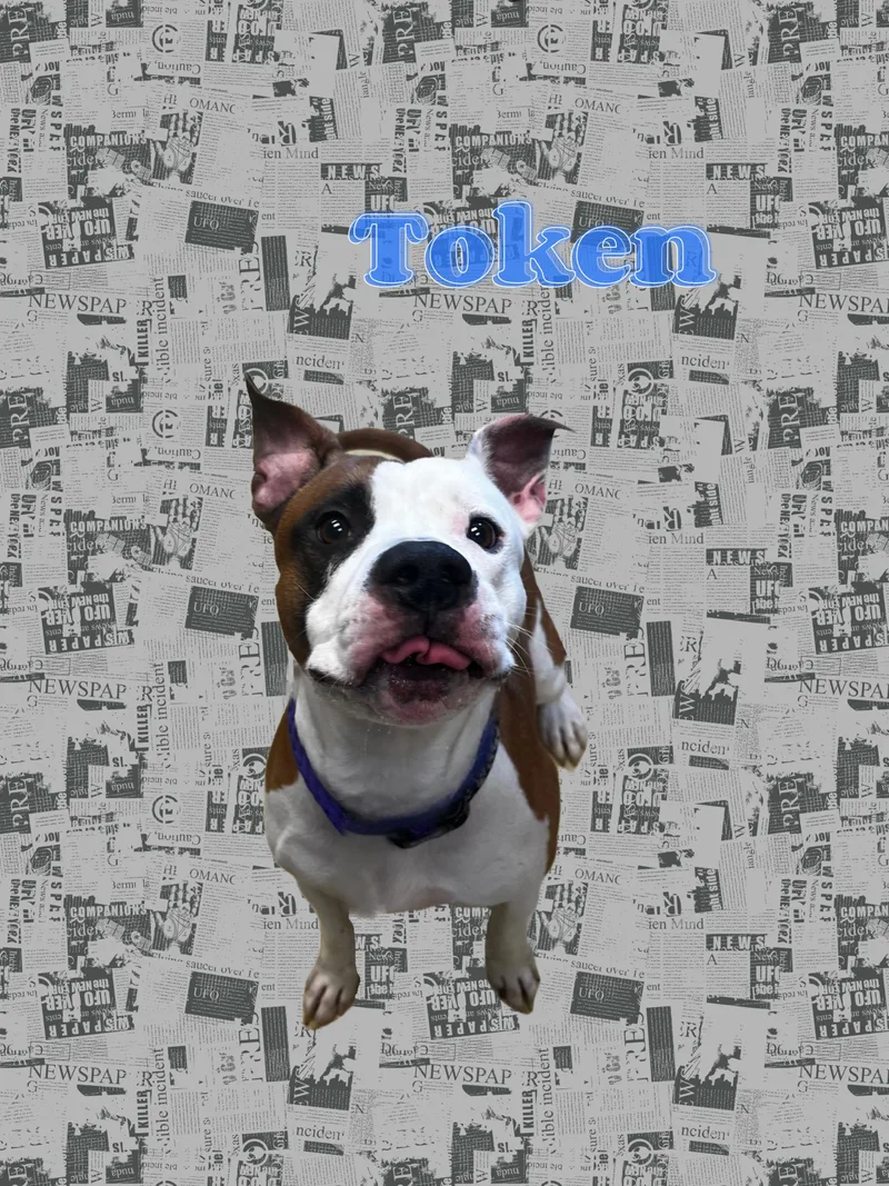 Token