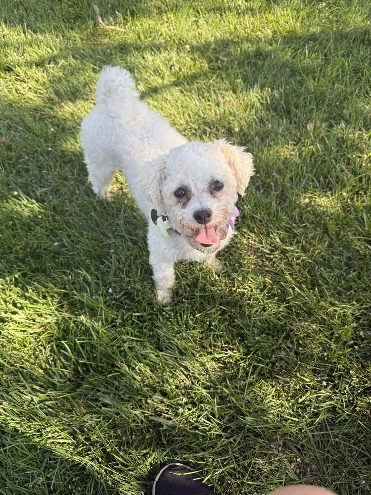 Ellie