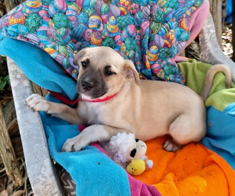 Ashisho Mvt thumbnail 3