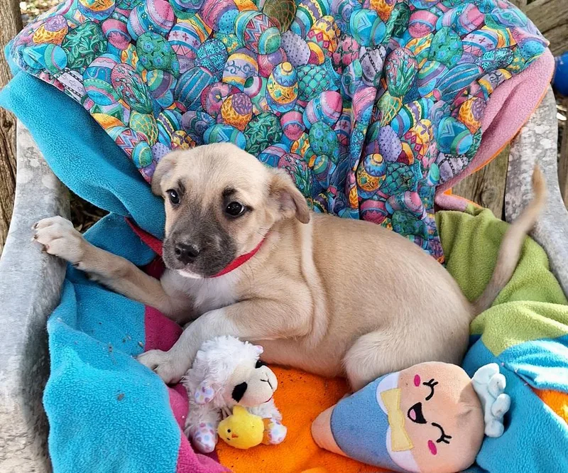 Ashisho Mvt thumbnail 6