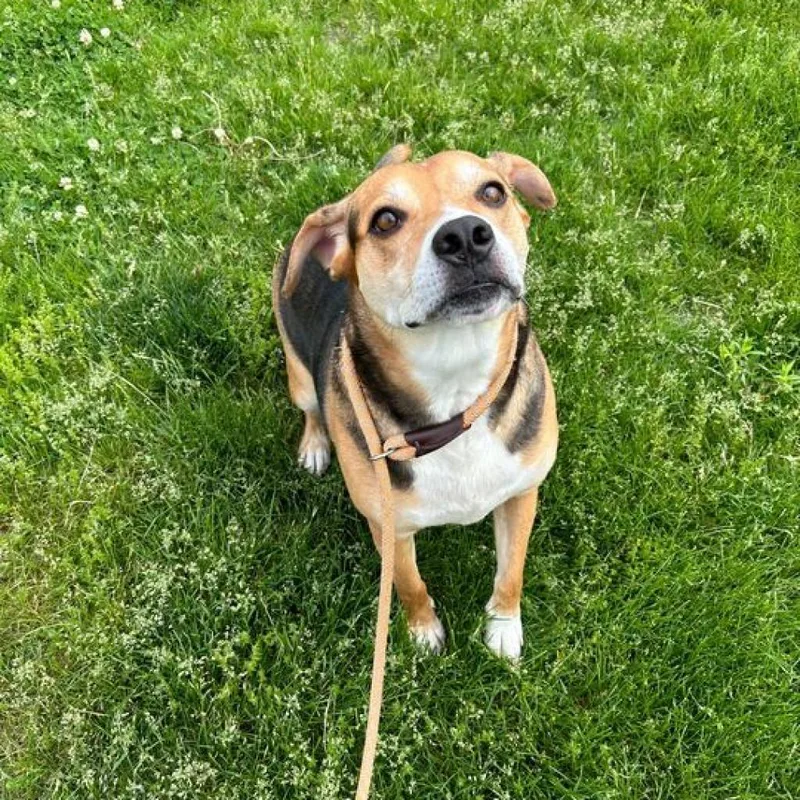 Buster
