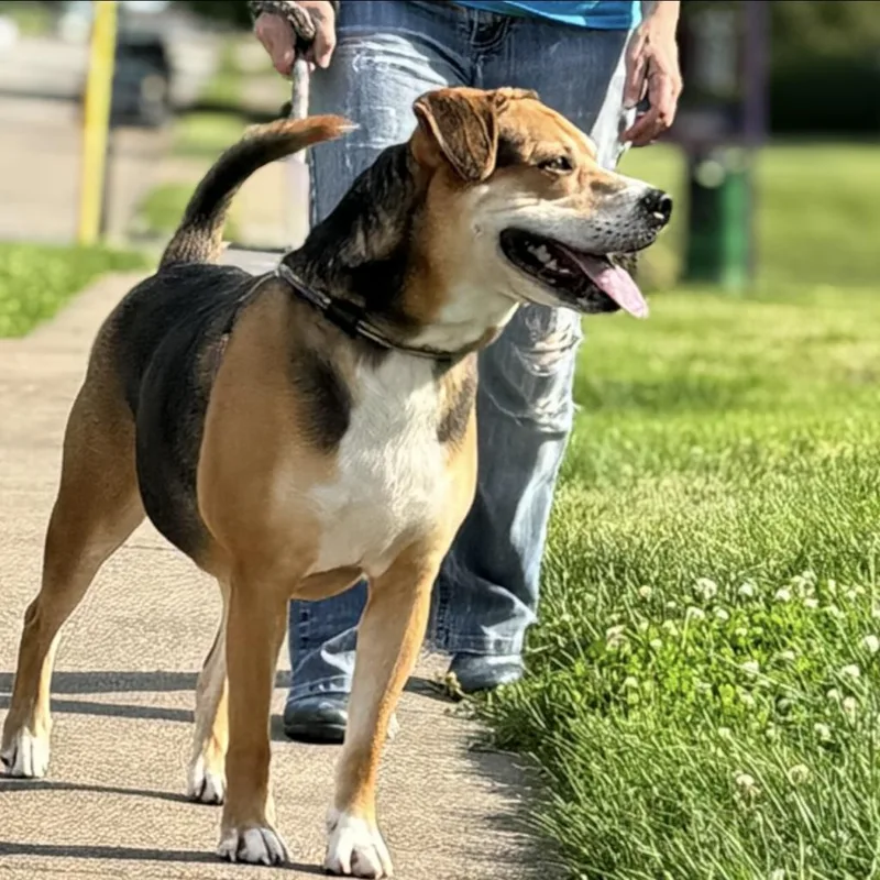 Buster thumbnail 2