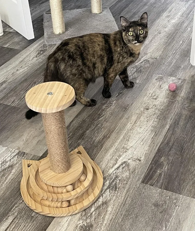 Nova Orchard thumbnail 2