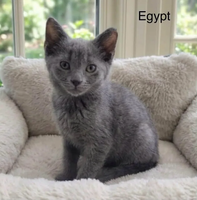 Egypt thumbnail 3
