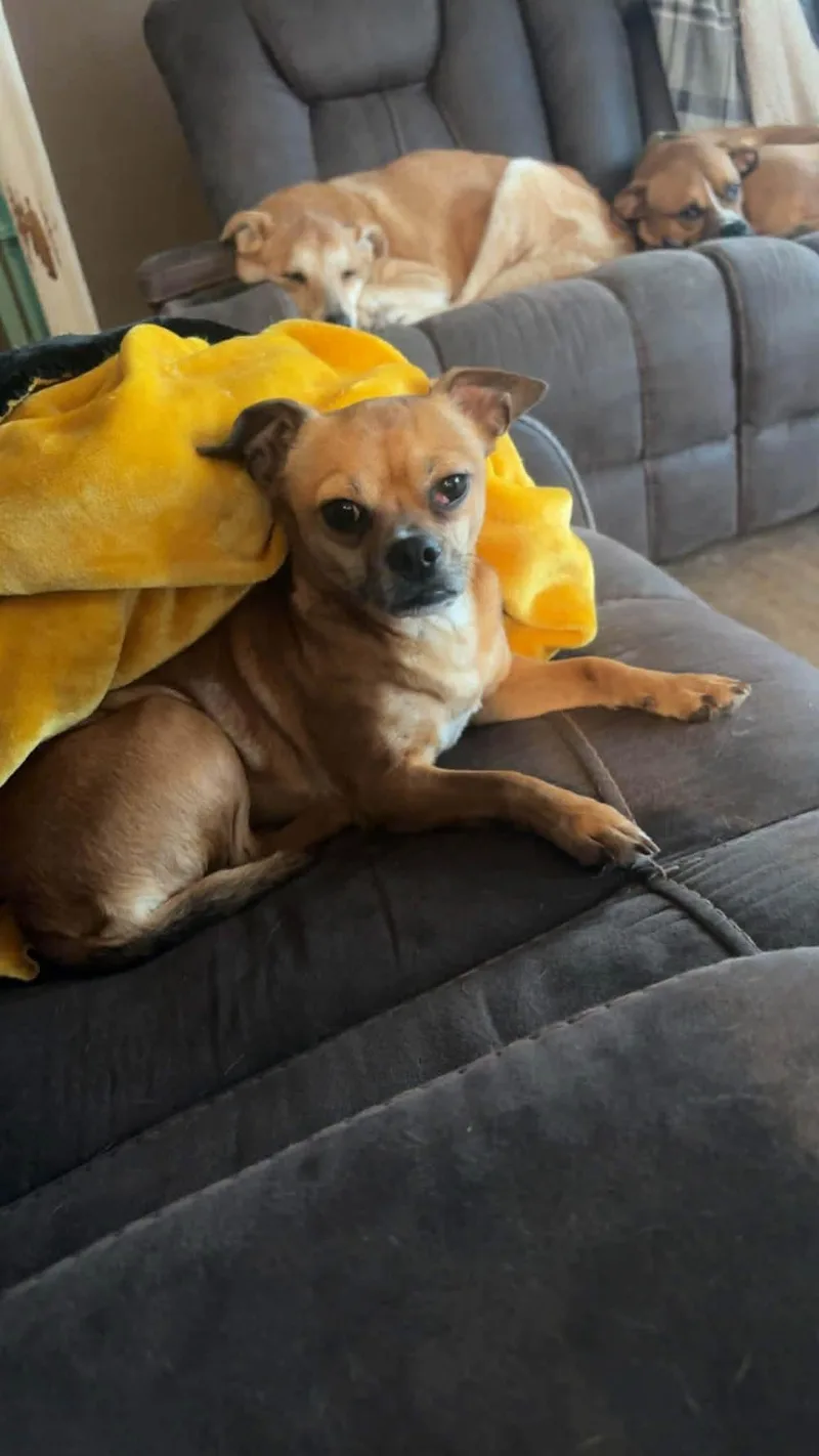Mocha