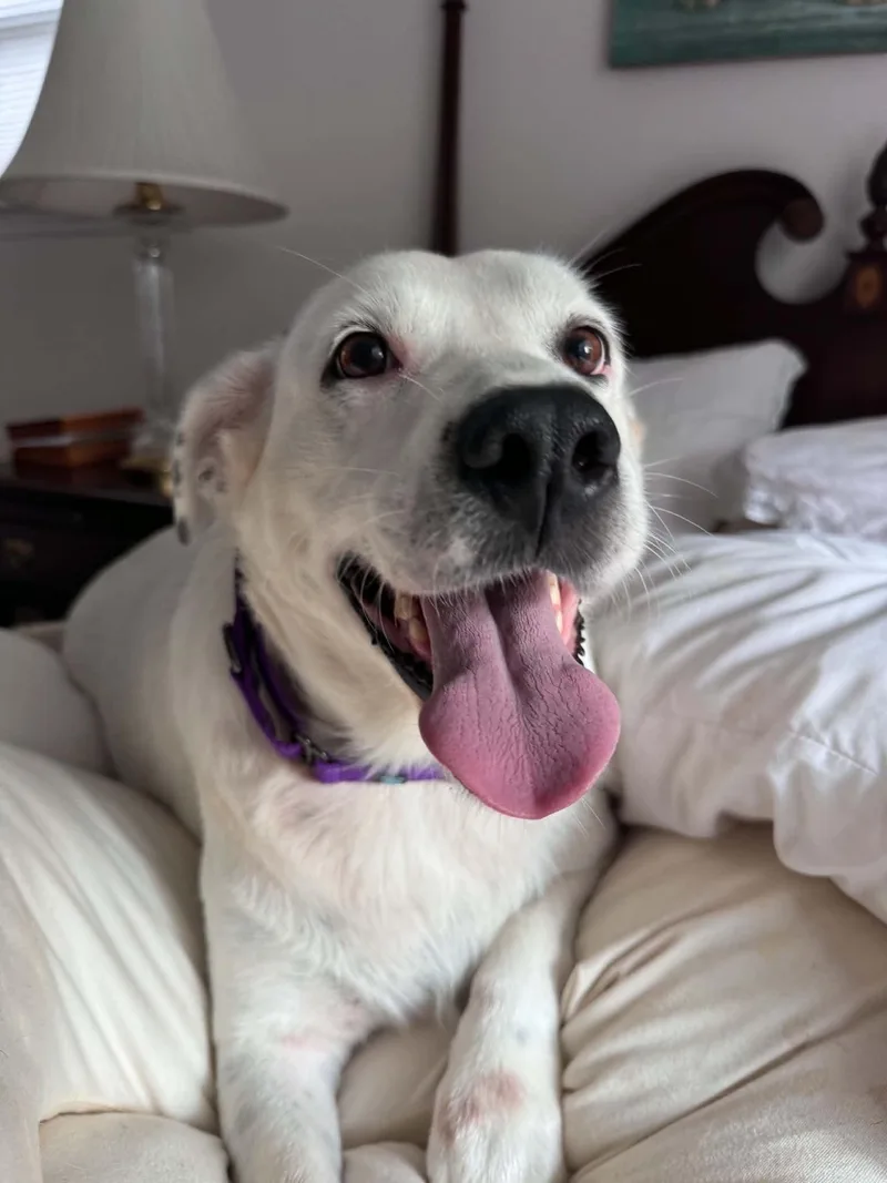 Sadie thumbnail 3