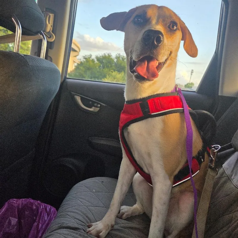 Tessa Thyme thumbnail 3