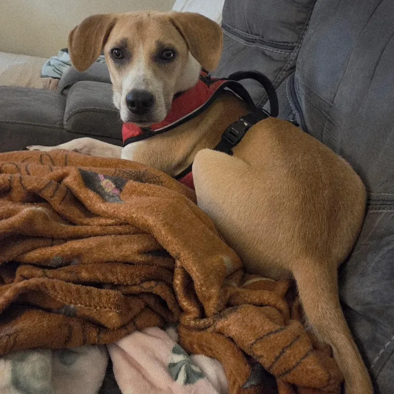 Tessa Thyme thumbnail 5