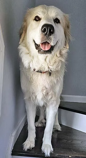 Sunnie In Nc  thumbnail 2