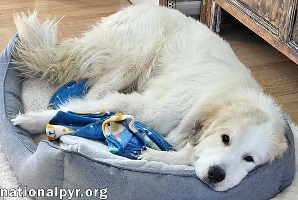 Sunnie In Nc  thumbnail 3