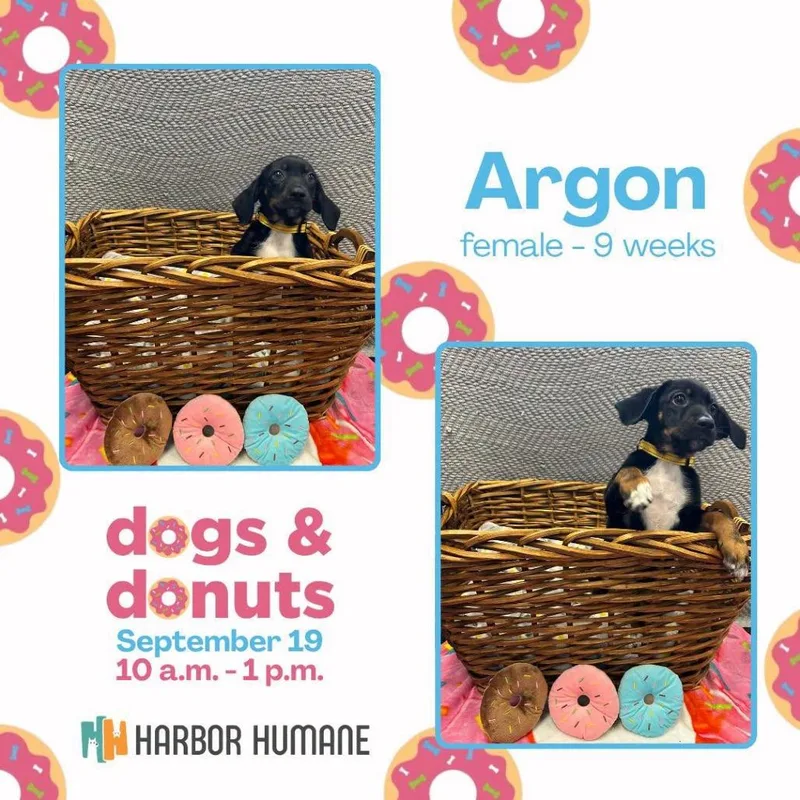 Argon