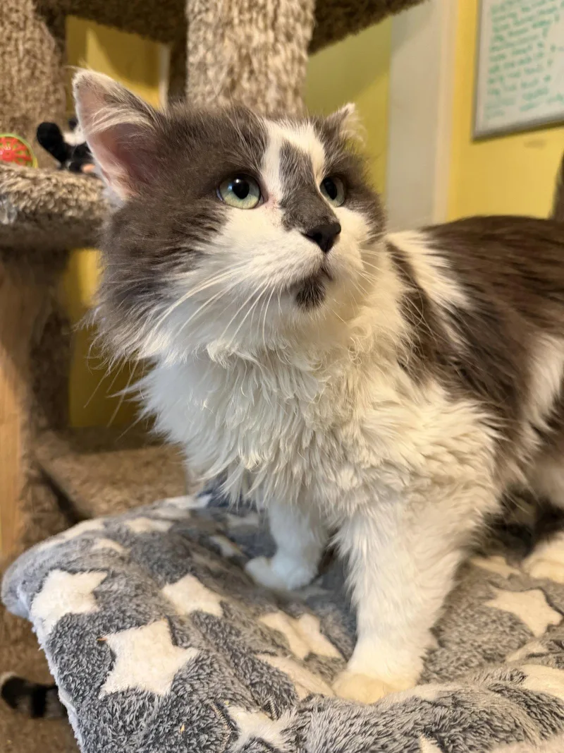 Wednesday thumbnail 3