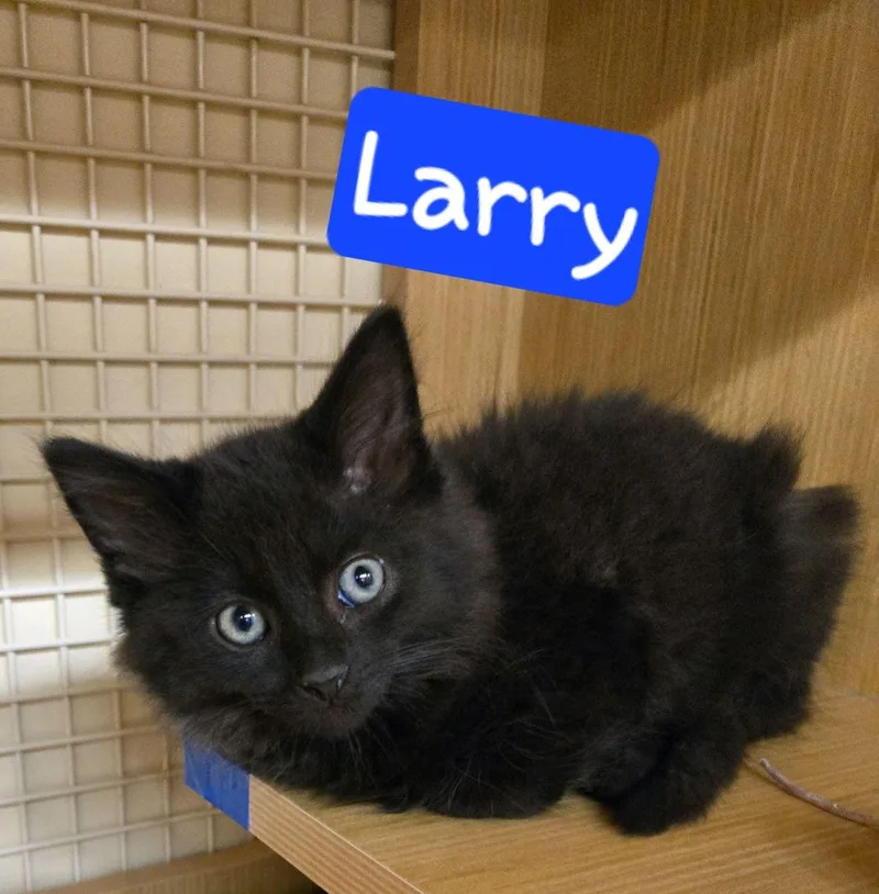 Larry