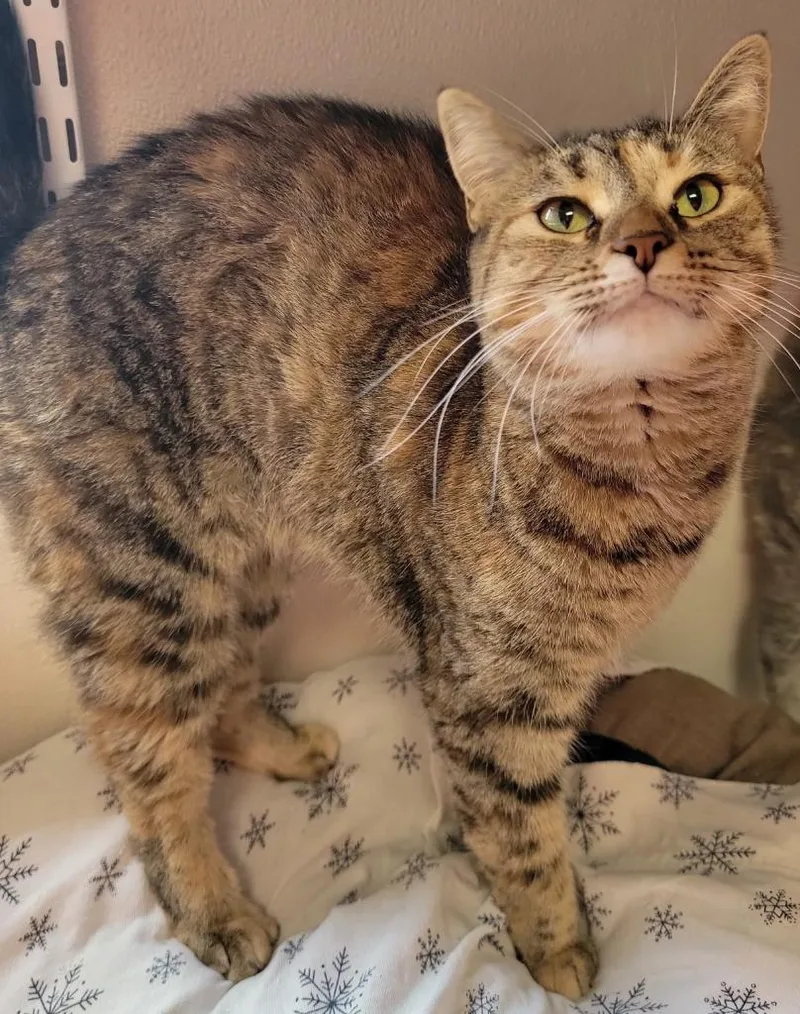 Jennie Lee thumbnail 5