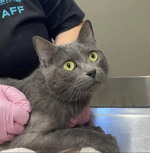 Everleigh thumbnail 2