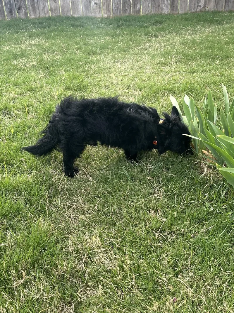 Wellington thumbnail 2