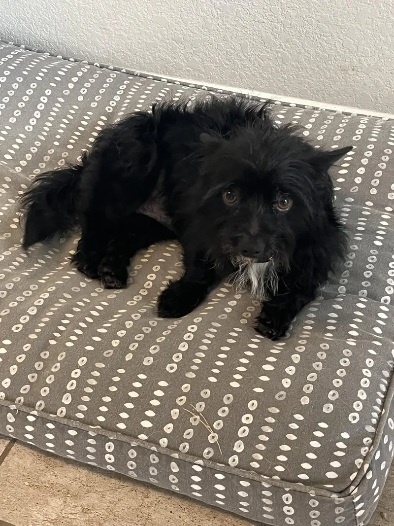 Wellington thumbnail 3