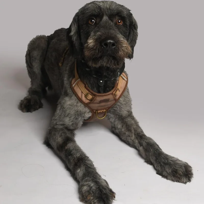 Zues Lightning thumbnail 6