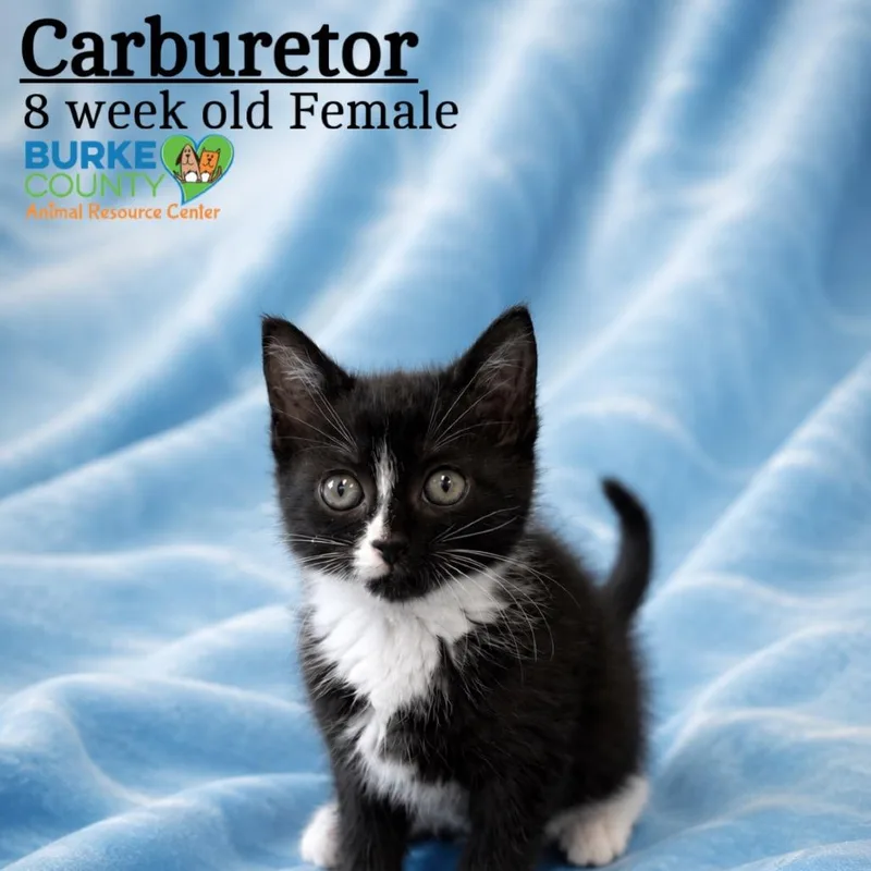 Carburetor thumbnail 2
