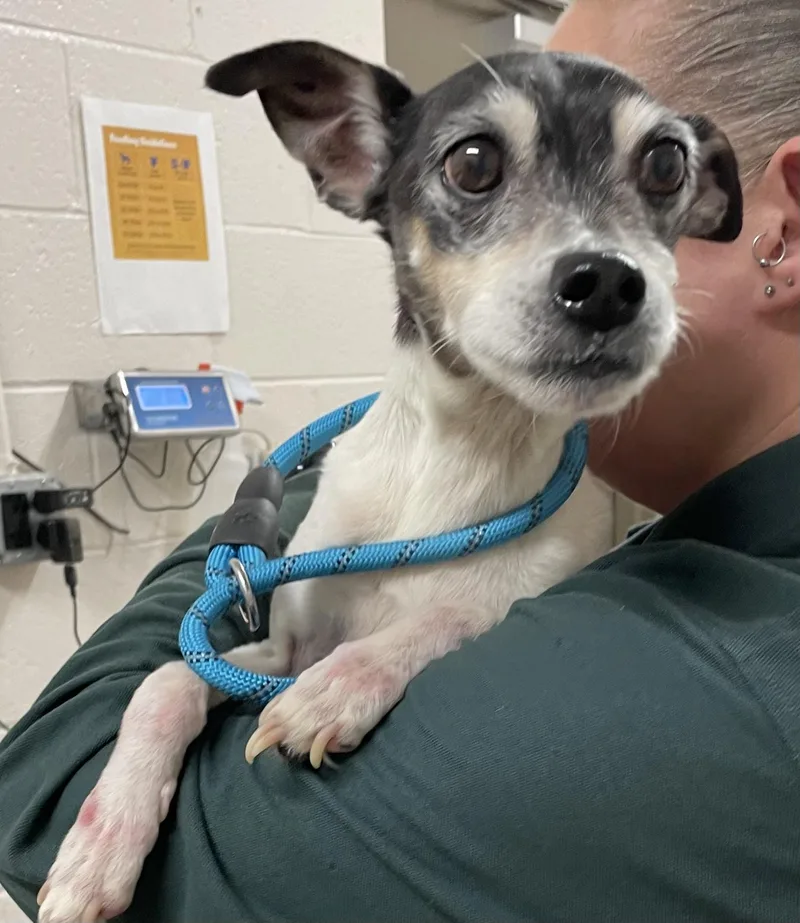 Joey Hold thumbnail 2