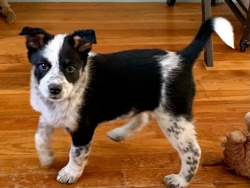 Matilda