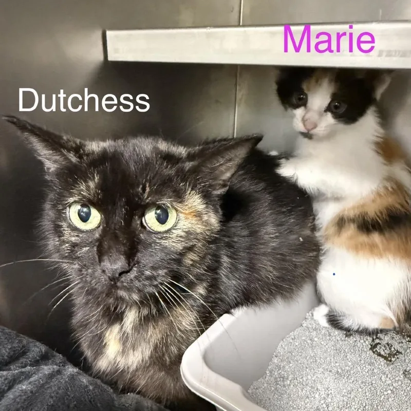 Marie
